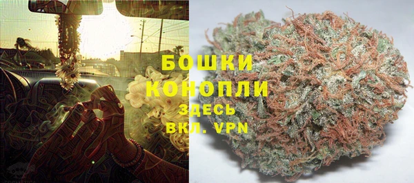 стафф Каменка