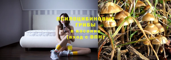 а пвп мука Абдулино
