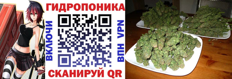 ОМГ ОМГ ссылки  Иноземцево  Шишки марихуана конопля 
